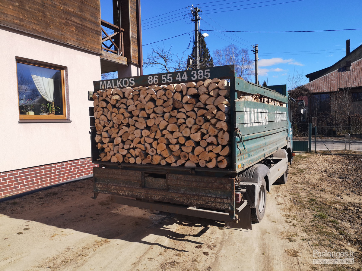 Malkos. Įvairių rūšių / Artūras / Darbų pavyzdys ID 2399011